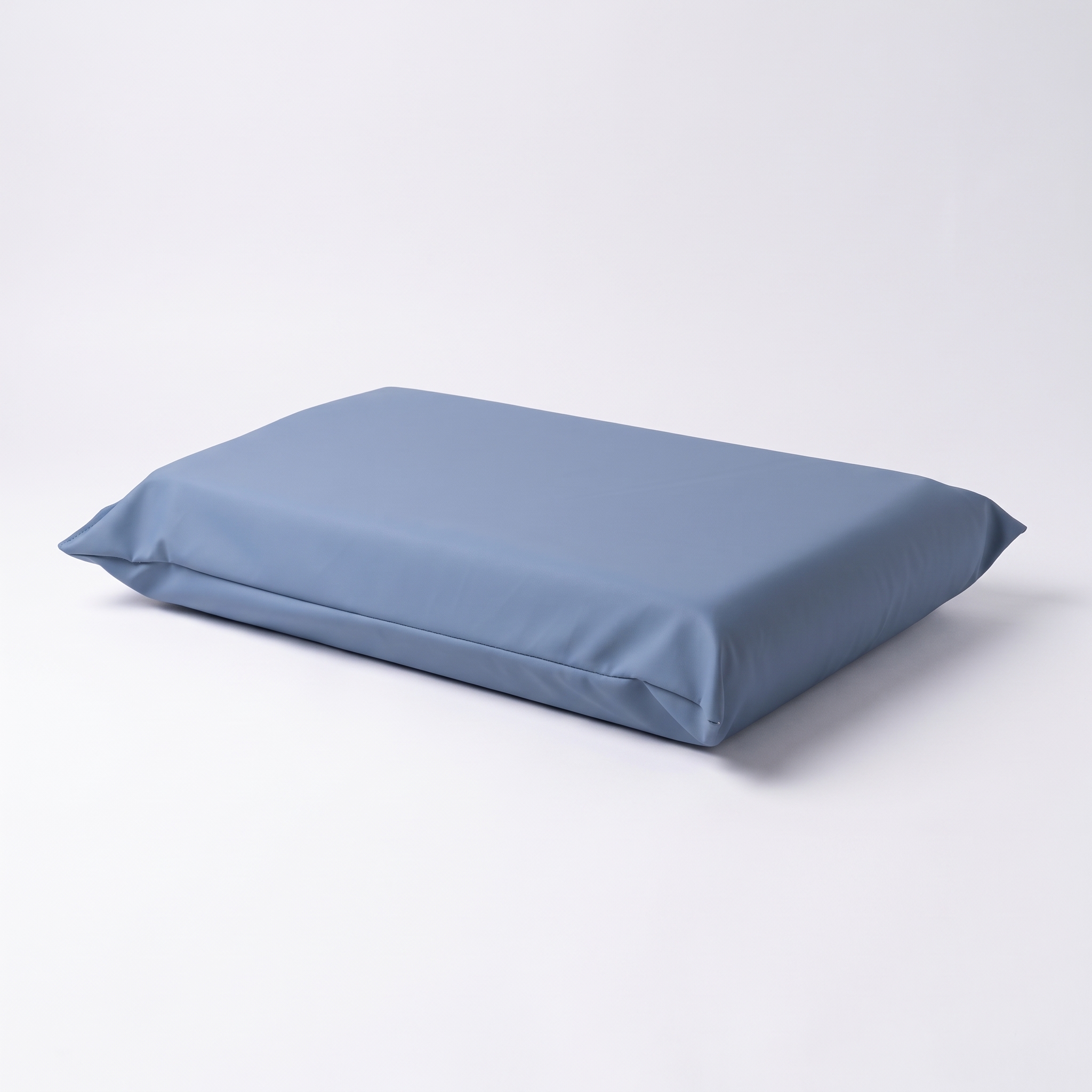 ALMOHADA SANATORIAL