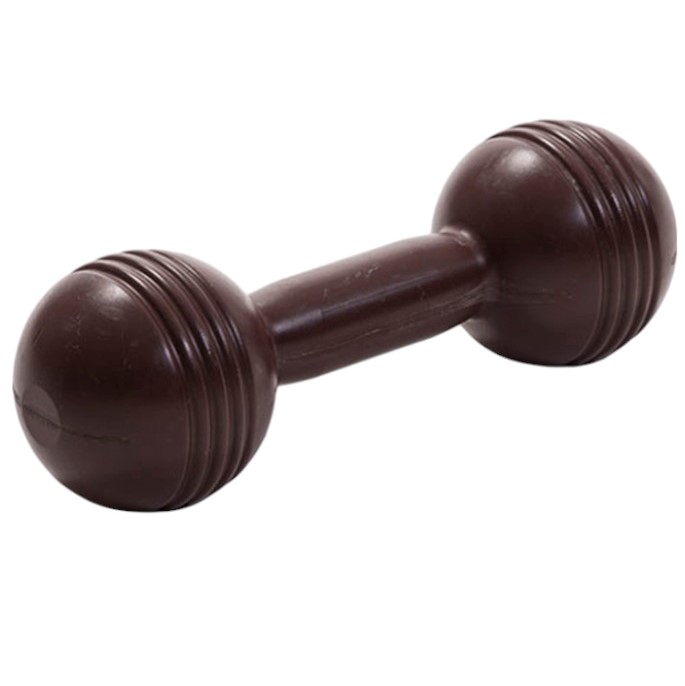 MANCUERNA PLASTICA DE 4 KG