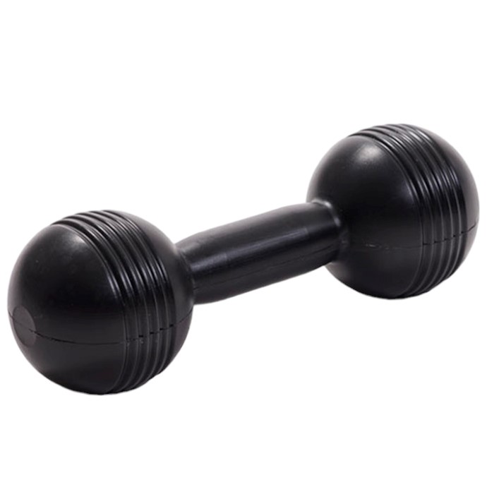 MANCUERNA PLASTICA DE 5 KG