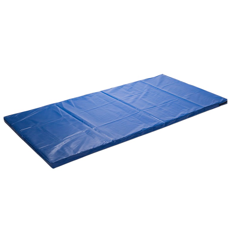 COLCHONETA DE 2.00 X 1.00 X 0.06 M DE ALTA DENSIDAD (AZUL) (*)