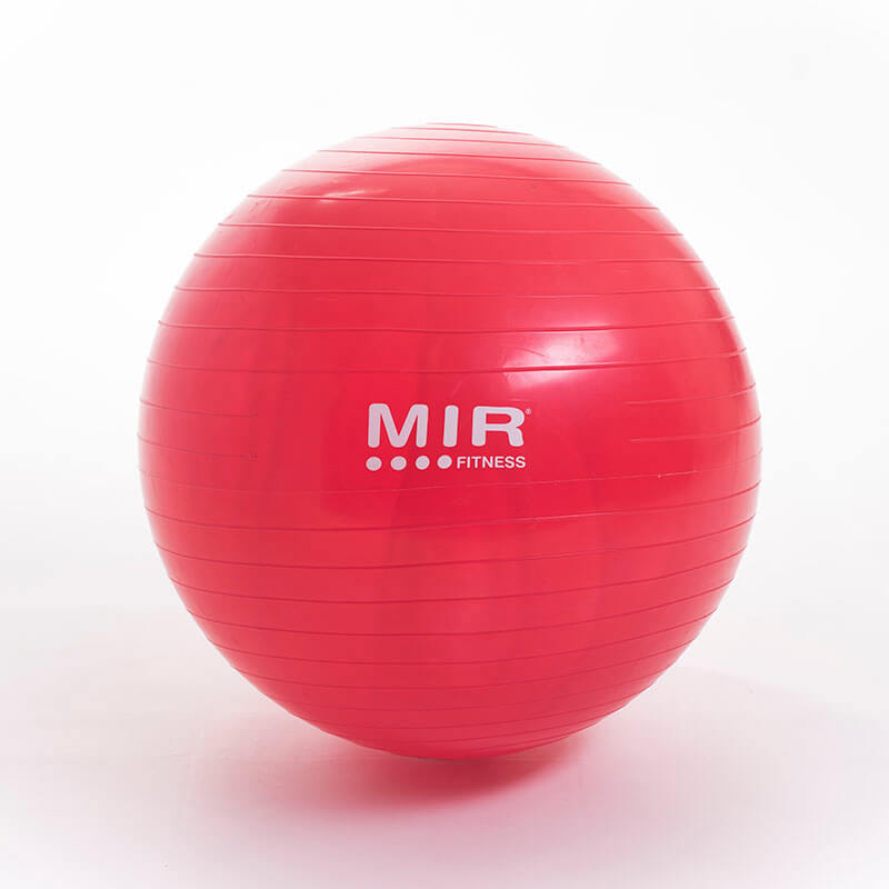 PELOTA DE ESFERODINAMIA DE 55 CM