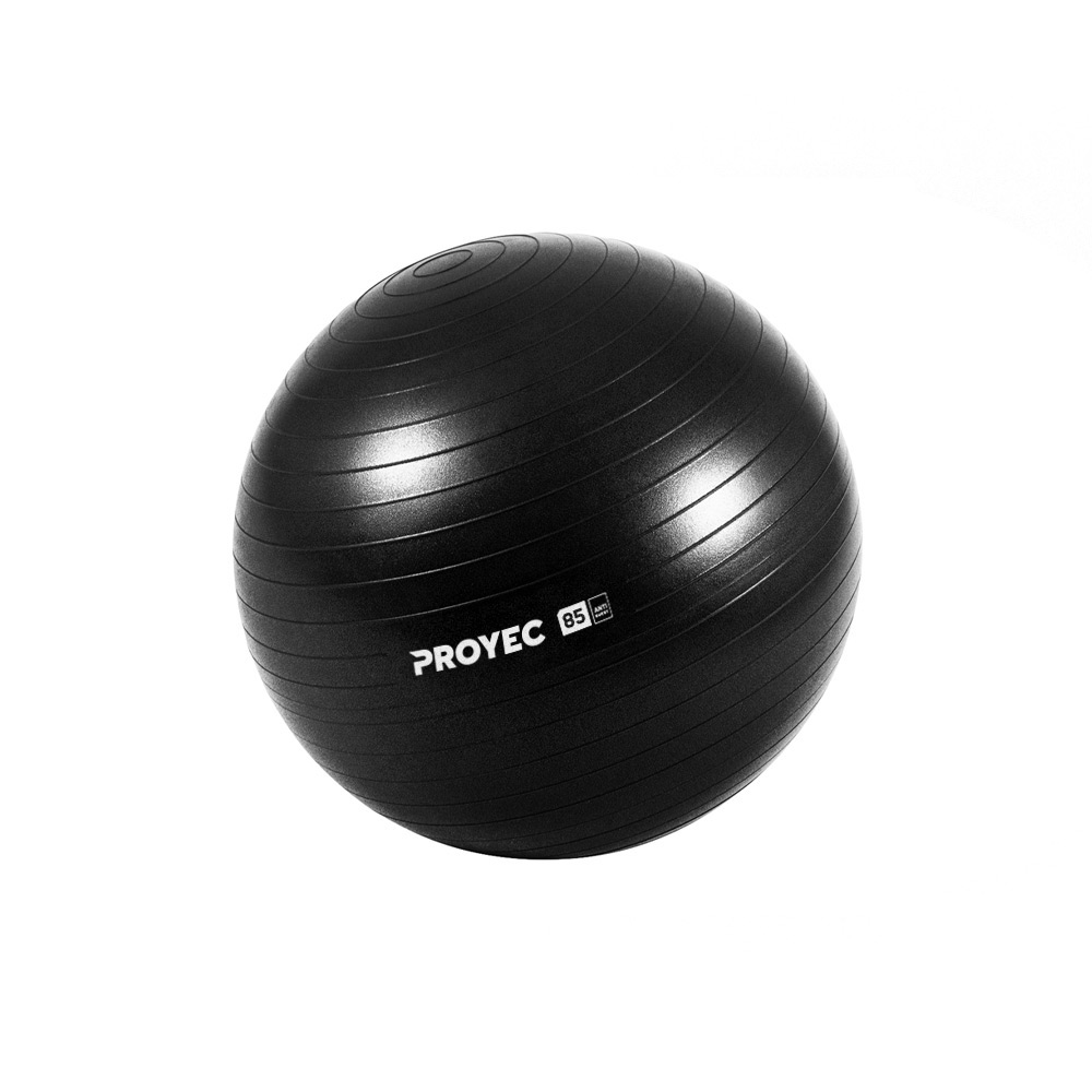 PELOTA DE ESFERODINAMIA DE 85 CM REFORZADA DE 1500 GRS