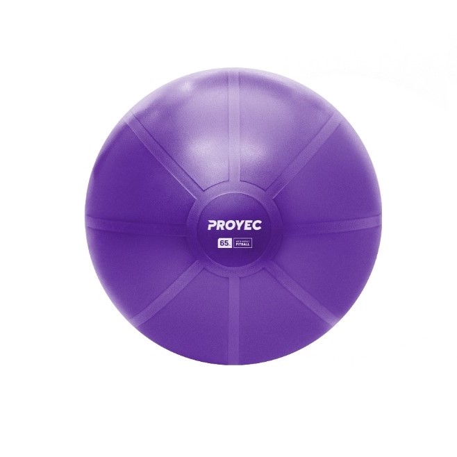PELOTA DE ESFERODINAMIA DE 65 CM REFORZADA 1000 GRS CON INFLADOR