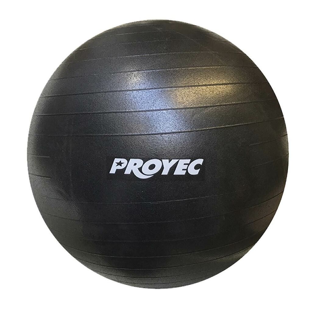 PELOTA DE ESFERODINAMIA DE 55 CM REFORZADA DE 900 GRS